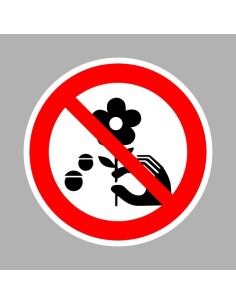 A virágokat letépni tilos! 2